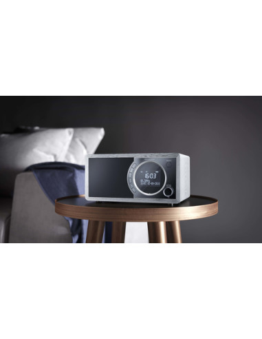 Sharp DR-450 Personale Digitale Grigio, Acciaio inox