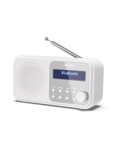 Sharp DR-P420 Portatile Digitale Bianco