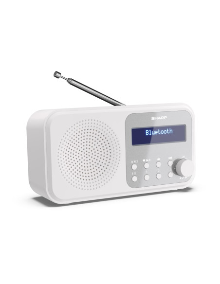 Sharp DR-P420 Portatile Digitale Bianco