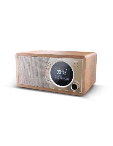 Sharp DR-450 Personale Digitale Marrone, Acciaio inox