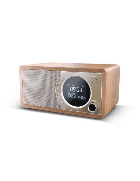 Sharp DR-450 Personale Digitale Marrone, Acciaio inox