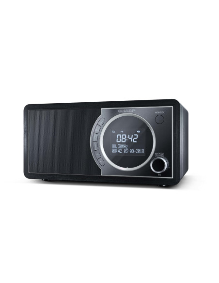 Sharp DR-450 Personale Digitale Nero, Acciaio inox