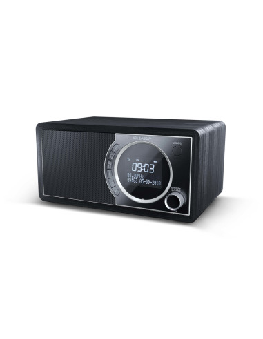 Sharp DR-450 Personale Digitale Nero, Acciaio inox