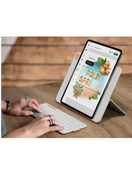 FLIP FOLIO - PALE GREY - ITA