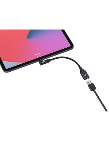 Conceptronic ABBY19B adattatore per inversione del genere dei cavi USB-C USB-A Nero