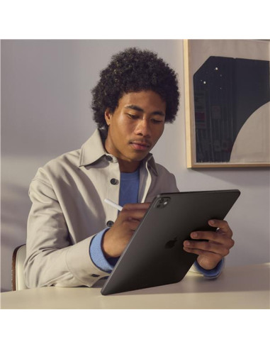 IPAD PRO 13 WF CL 1TB STD SLV