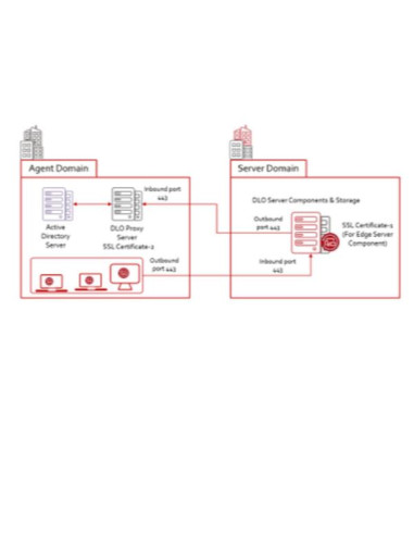 ESSENTIAL 12 MONTHS RENEWAL FOR D