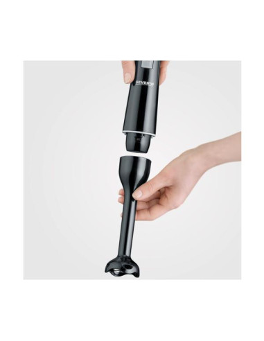 FRULLATORE IMMERSIONE