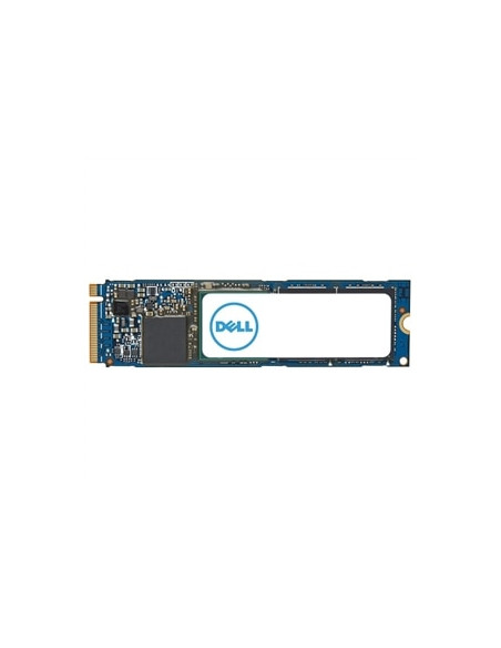 DELL AC037411 drives allo stato solido 4 TB M.2 PCI Express 4.0 NVMe
