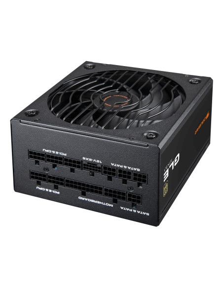 COUGAR CGR GLE-1200 alimentatore per computer 1200 W 20+4 pin ATX ATX Nero