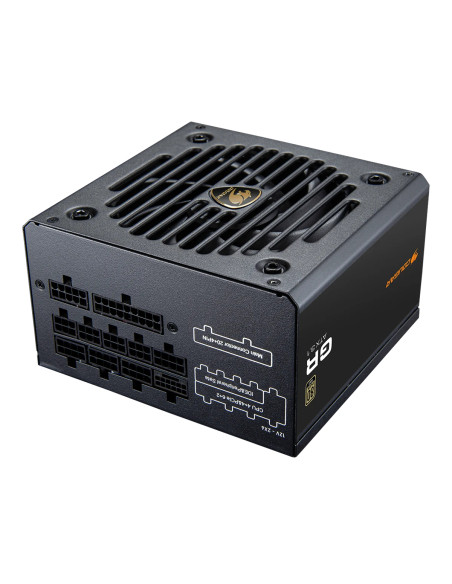 COUGAR CGR GDN-850 alimentatore per computer 850 W 20+4 pin ATX ATX Nero