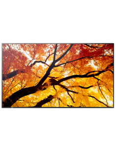 Sharp MultiSync M552 Pannello piatto per segnaletica digitale 139,7 cm (55") LCD 550 cd/m² 4K Ultra HD Nero Touch screen 2