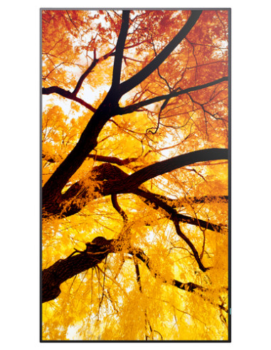 Sharp MultiSync M552 Pannello piatto per segnaletica digitale 139,7 cm (55") LCD 550 cd/m² 4K Ultra HD Nero Touch screen