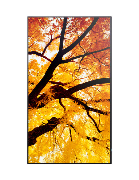 Sharp MultiSync M552 Pannello piatto per segnaletica digitale 139,7 cm (55") LCD 550 cd/m² 4K Ultra HD Nero Touch screen