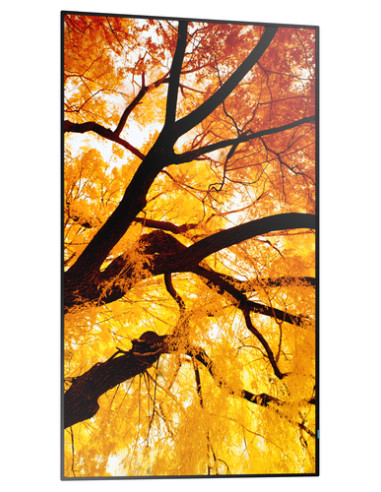 Sharp MultiSync M552 Pannello piatto per segnaletica digitale 139,7 cm (55") LCD 550 cd/m² 4K Ultra HD Nero Touch screen