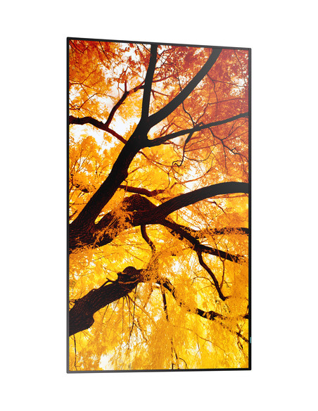 Sharp MultiSync M552 Pannello piatto per segnaletica digitale 139,7 cm (55") LCD 550 cd/m² 4K Ultra HD Nero Touch screen