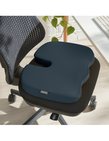 Leitz Ergo Cosy Grigio Cuscino da seduta