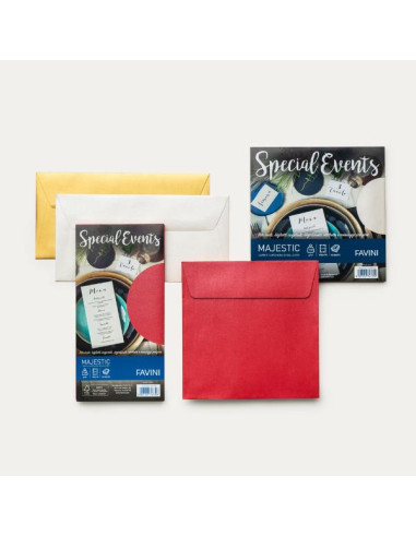 CF10BUSTE S.EVENTS 120G 17X17 ARGEN