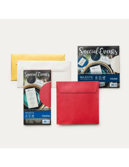 CF10BUSTE S.EVENTS 120G 17X17 ARGEN