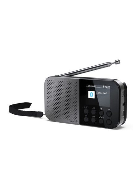 Sharp DR-P520 Personale Digitale Grigio