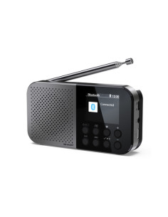 Sharp DR-P520 Personale Digitale Grigio 2