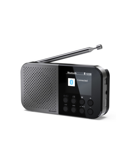 Sharp DR-P520 Personale Digitale Grigio