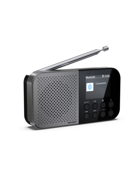 Sharp DR-P520 Personale Digitale Grigio