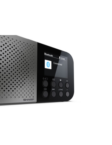 Sharp DR-P520 Personale Digitale Grigio