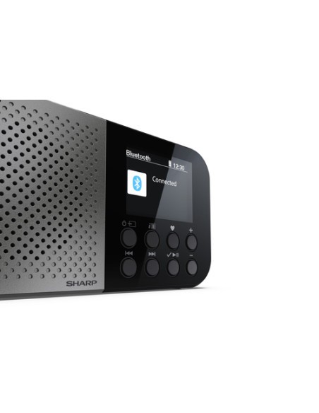 Sharp DR-P520 Personale Digitale Grigio