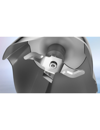 Bosch Serie 6 MSM6M622 Frullatore a immersione ErgoMaster 1000 W Inox