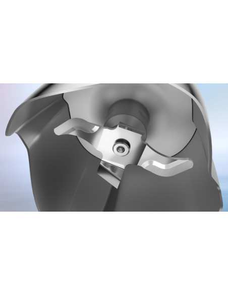 Bosch Serie 6 MSM6M622 Frullatore a immersione ErgoMaster 1000 W Inox