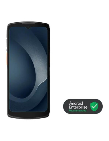 DT66 2D,4/64,WIFI,BT,LTE,NFC