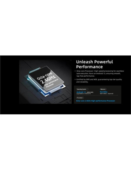 DT66 2D,4/64,WIFI,BT,LTE,NFC