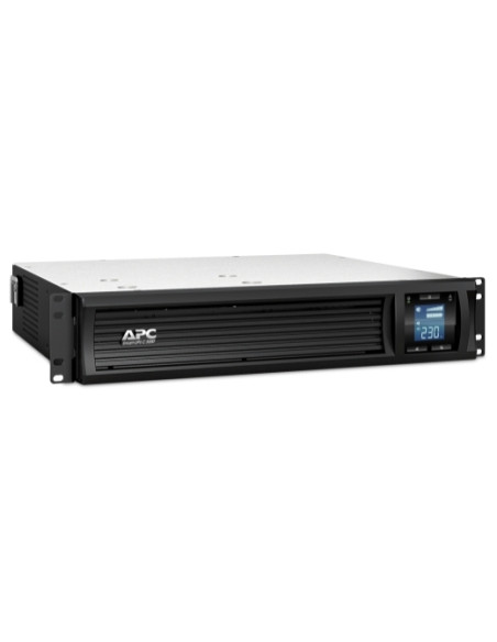 APC Smart UPS C 3000V gruppo di continuità (UPS) A linea interattiva 3 kVA 2100 W