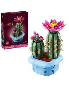 CACTUS IN FIORE 2