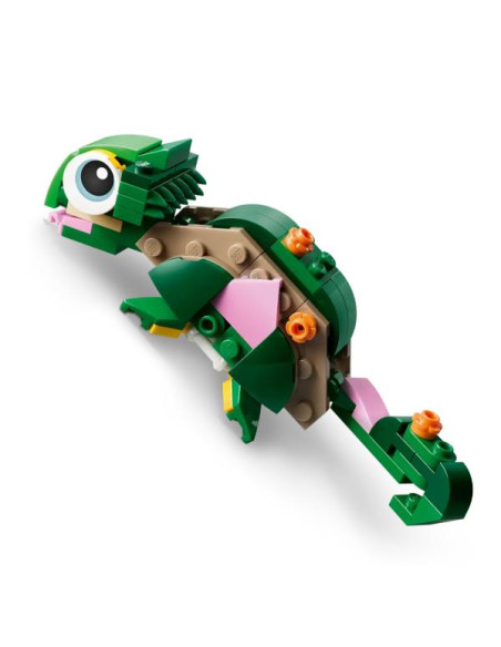 TARTARUGA CON FIORE DI NINFEA