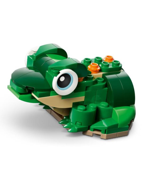 TARTARUGA CON FIORE DI NINFEA