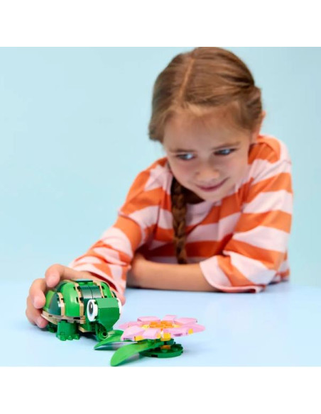 TARTARUGA CON FIORE DI NINFEA