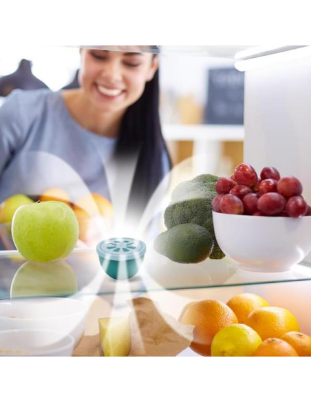 ECO STOP ODORI FRIGO