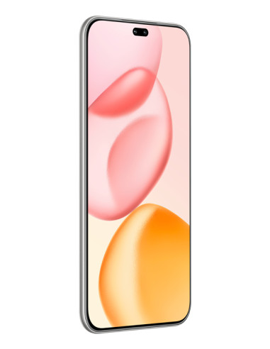 Honor 400 Pro 17 cm (6.7") MagicOS 9.0 5G 12 GB 512 GB 5300 mAh Grigio