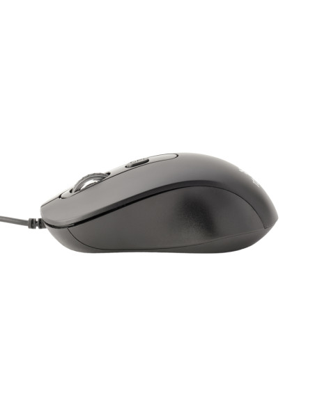 itek CLK C01 mouse Universale Ambidestro USB tipo A Ottico 3600 DPI