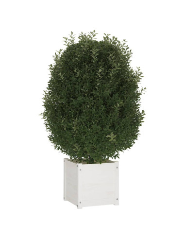 Fioriere da Giardino 2 pz Bianche 40x40x40 cm Massello di Pino