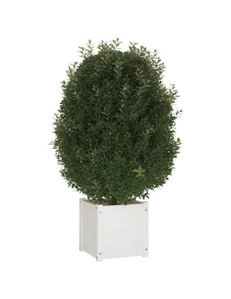 Fioriere da Giardino 2 pz Bianche 40x40x40 cm Massello di Pino