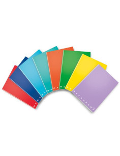 CF5 MAXI QUADERNO MONOC. 25FF 4M A4