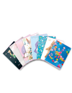 CF10 MAXI ASSORTUV BIMBO 42FF 0B A4 2