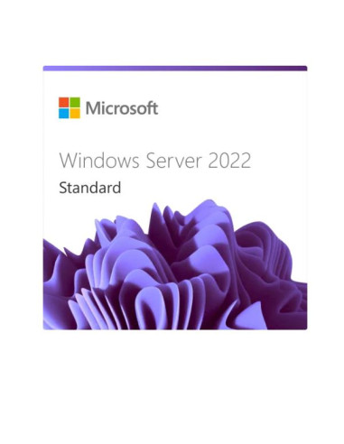WIN SRV 2022 CAL 1 USER CAL 1 YEAR