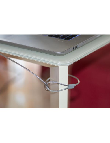 Link Accessori LKLOCKEY cavo di sicurezza Acciaio inox 1,5 m