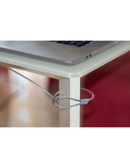 Link Accessori LKLOCKEY cavo di sicurezza Acciaio inox 1,5 m