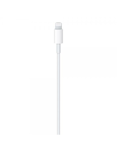 Apple Cavo da USB-C a lightning 1mt