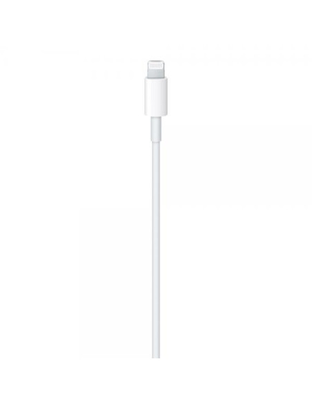 Apple Cavo da USB-C a lightning 1mt